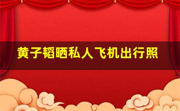 黄子韬晒私人飞机出行照