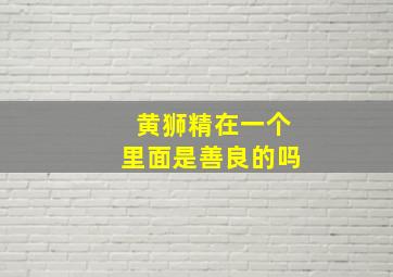 黄狮精在一个里面是善良的吗