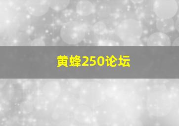 黄蜂250论坛