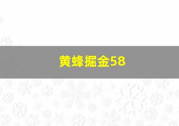 黄蜂掘金58