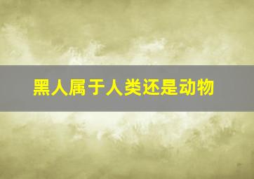 黑人属于人类还是动物