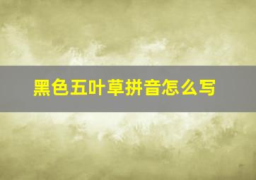 黑色五叶草拼音怎么写