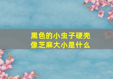 黑色的小虫子硬壳像芝麻大小是什么