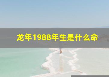 龙年1988年生是什么命