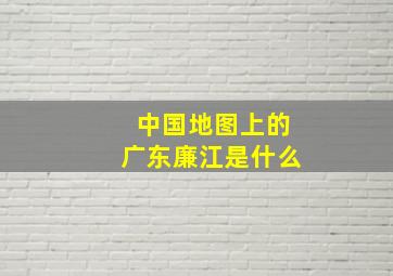 中国地图上的广东廉江是什么