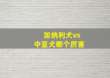 加纳利犬vs中亚犬哪个厉害