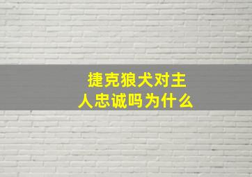 捷克狼犬对主人忠诚吗为什么