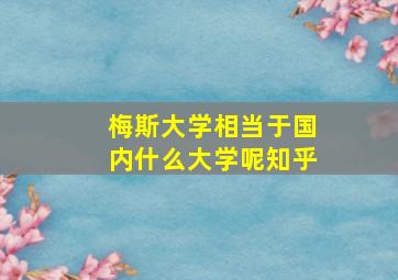 梅斯大学相当于国内什么大学呢知乎