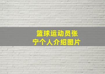 篮球运动员张宁个人介绍图片