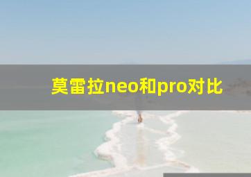 莫雷拉neo和pro对比