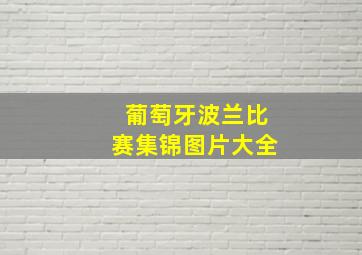 葡萄牙波兰比赛集锦图片大全