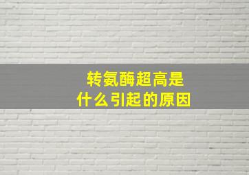 转氨酶超高是什么引起的原因