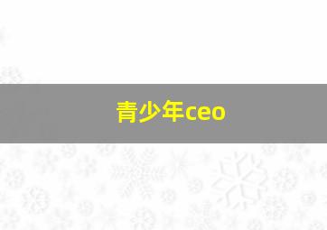 青少年ceo